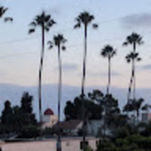 Meet your Posher, Kristin